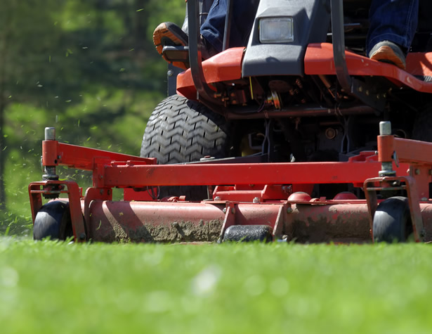 commercial grounds maintenance