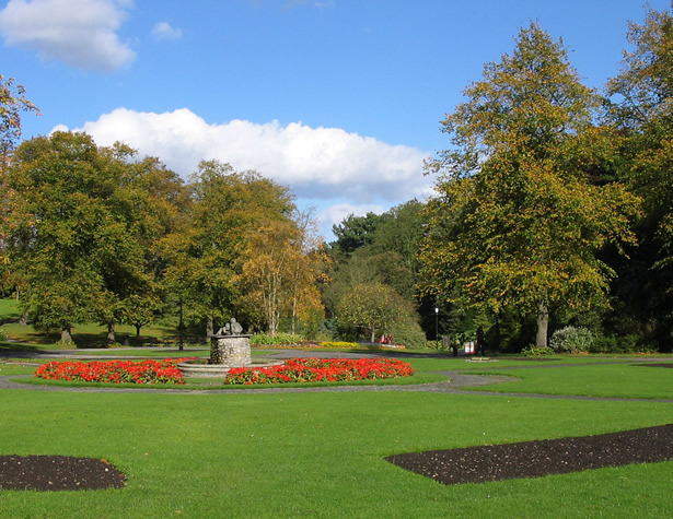 tree & shrub planting